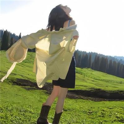 谜探路德维希
