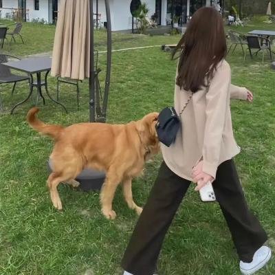 三体真人版